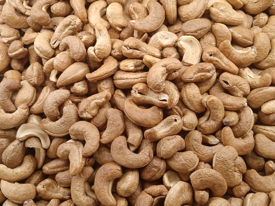 Roasted cashew kernels filling the frame
