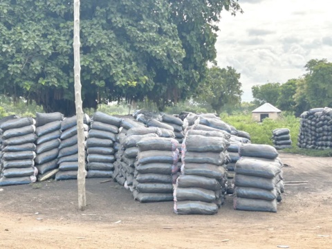 Stacks of bagged charcoal arranged outdoors under trees