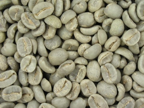 Close-up of unroasted green coffee beans filling the frame