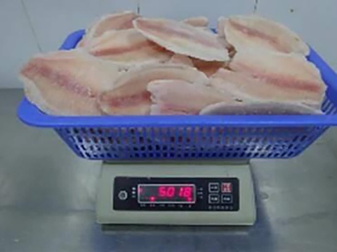 Phi lê cá rô phi trắng hồng xếp đầy giỏ nhựa xanh đặt trên cân