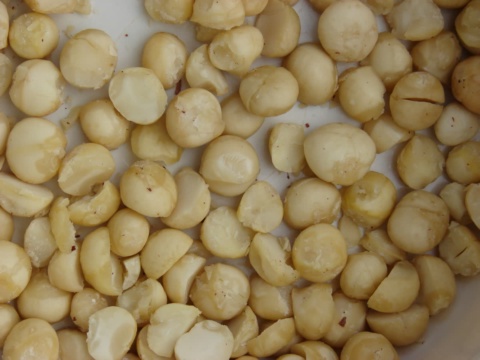 Cream-colored macadamia kernels spread on a white plate
