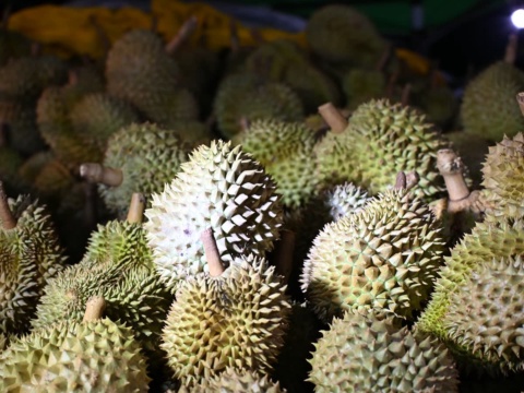 Đống sầu riêng nguyên trái gai nhọn xếp dày trên sạp