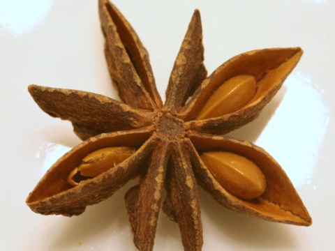 Close-up of a dried golden-brown star anise with a seed in each pod