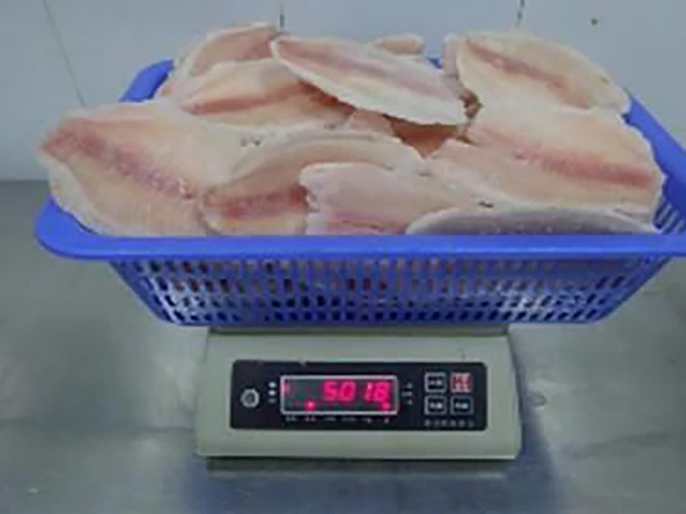 Pale pink tilapia fillets piled in a blue plastic basket on a scale