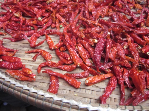 Dark-red dried chillies spread on a bamboo mat in the sun