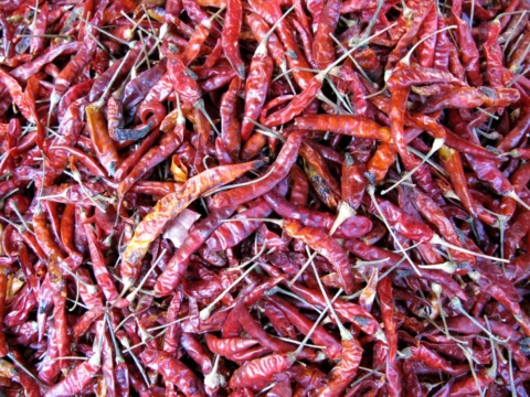 Dried red-purple chillies piled thickly across the frame