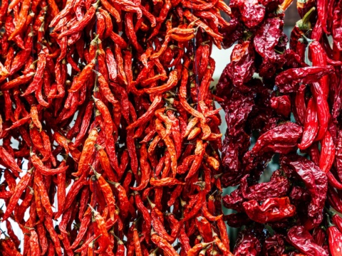 Strings of dried red chillies hanging side by side