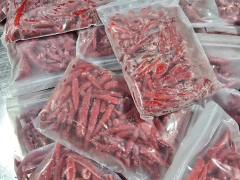 Frozen chillies in zip-lock bags