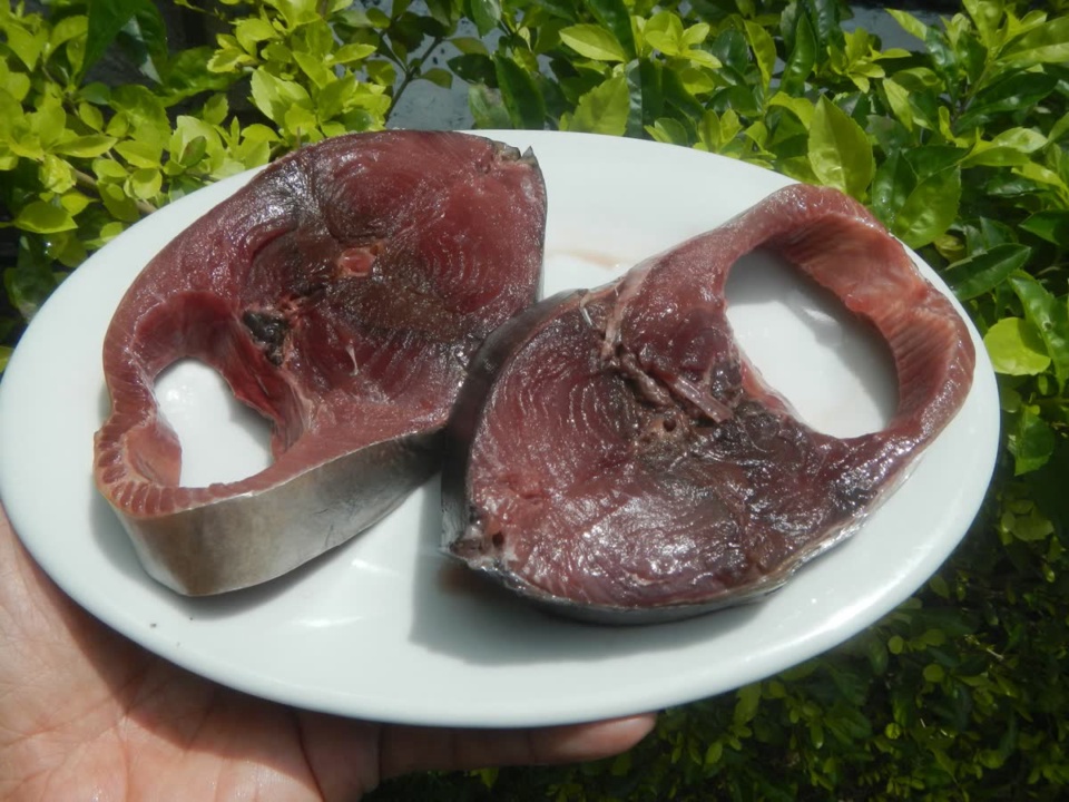 Hai khoanh cá ngừ thịt đỏ sẫm cắt ngang trên đĩa trắng