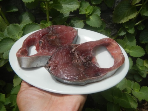 Hai khoanh cá ngừ đỏ cắt ngang đặt trên đĩa trắng