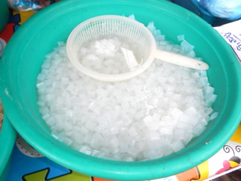 Chậu thạch dừa trắng có rây nhựa đặt phía trên