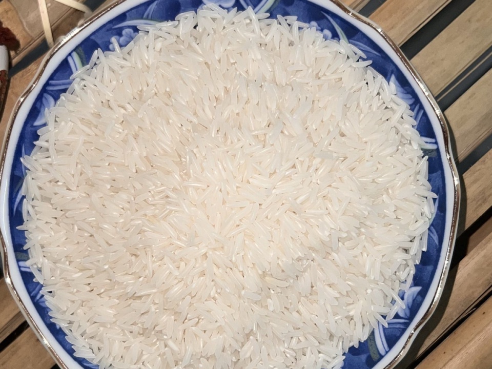 Gạo ST25 chưa nấu trong đĩa sứ viền hoa văn xanh