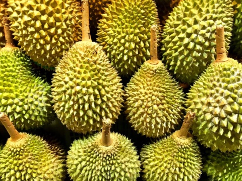 A dense stack of green-yellow durians with stems