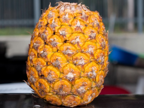 A single orange-gold pineapple on a table