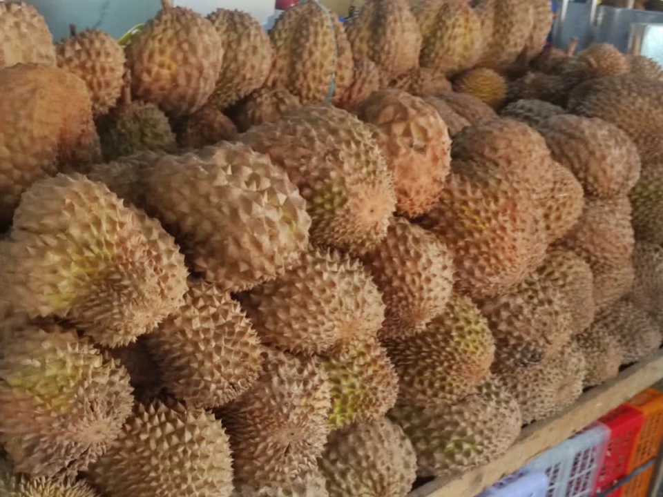 Hàng sầu riêng nguyên trái xếp kín sạp trưng bày