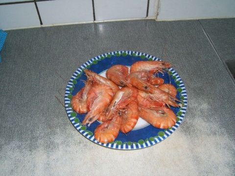 Whole cooked orange shrimp on a blue plate
