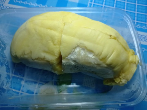 A large durian pod in a clear plastic box