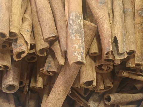 Hollow cinnamon quills standing upright, packed closely together