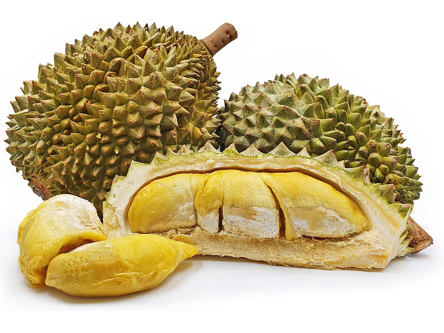 Hai trái sầu riêng nguyên vỏ và một trái bổ thấy các múi cơm vàng, phía trước có hai múi rời, nền trắng