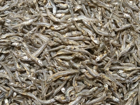 Small dried anchovies filling the frame