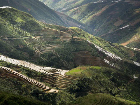 Terraced rice paddies on a mountain slope above a deep valley