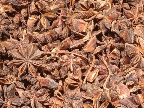 Dried star anise mixed with many broken pods and fragments